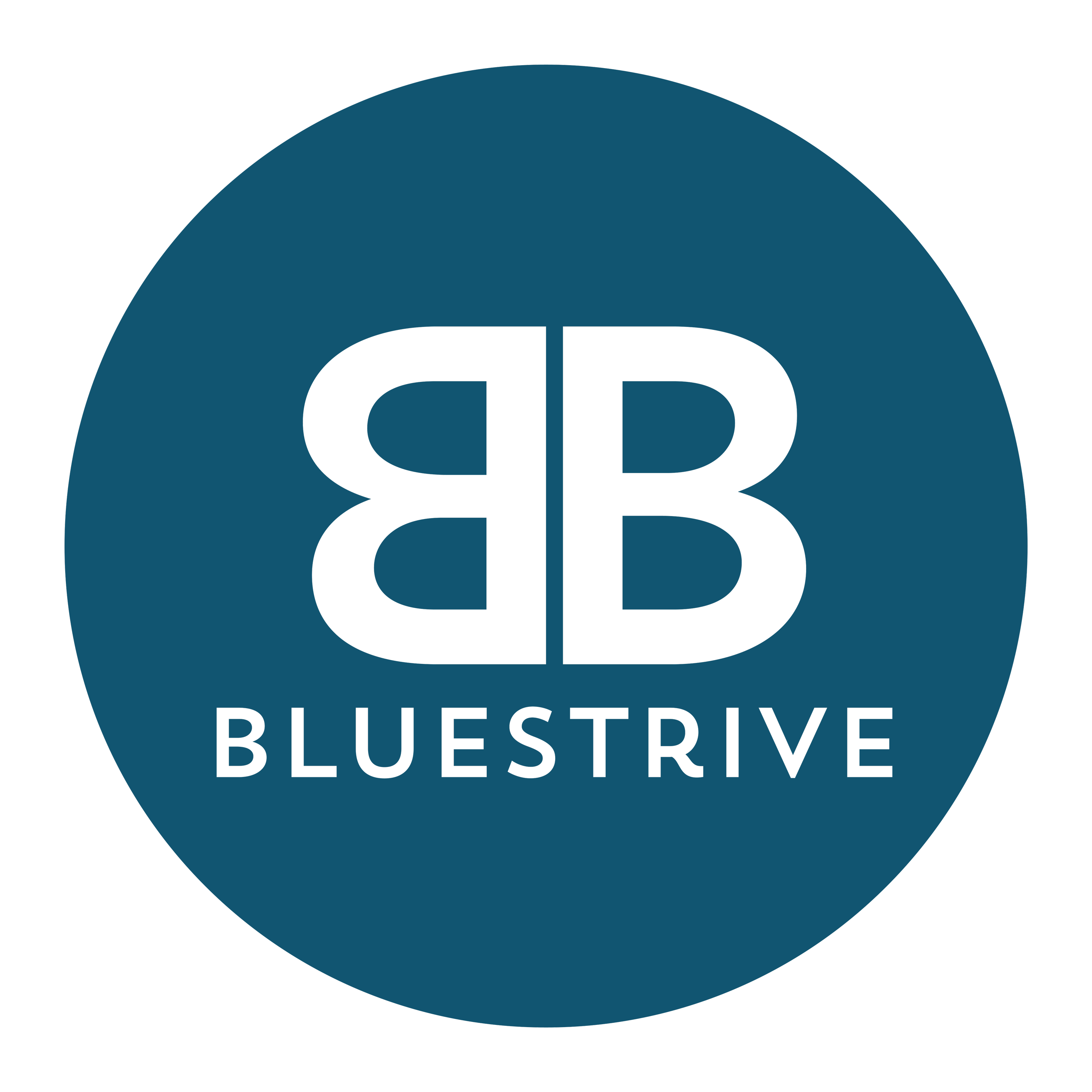 Bluestrive LLC