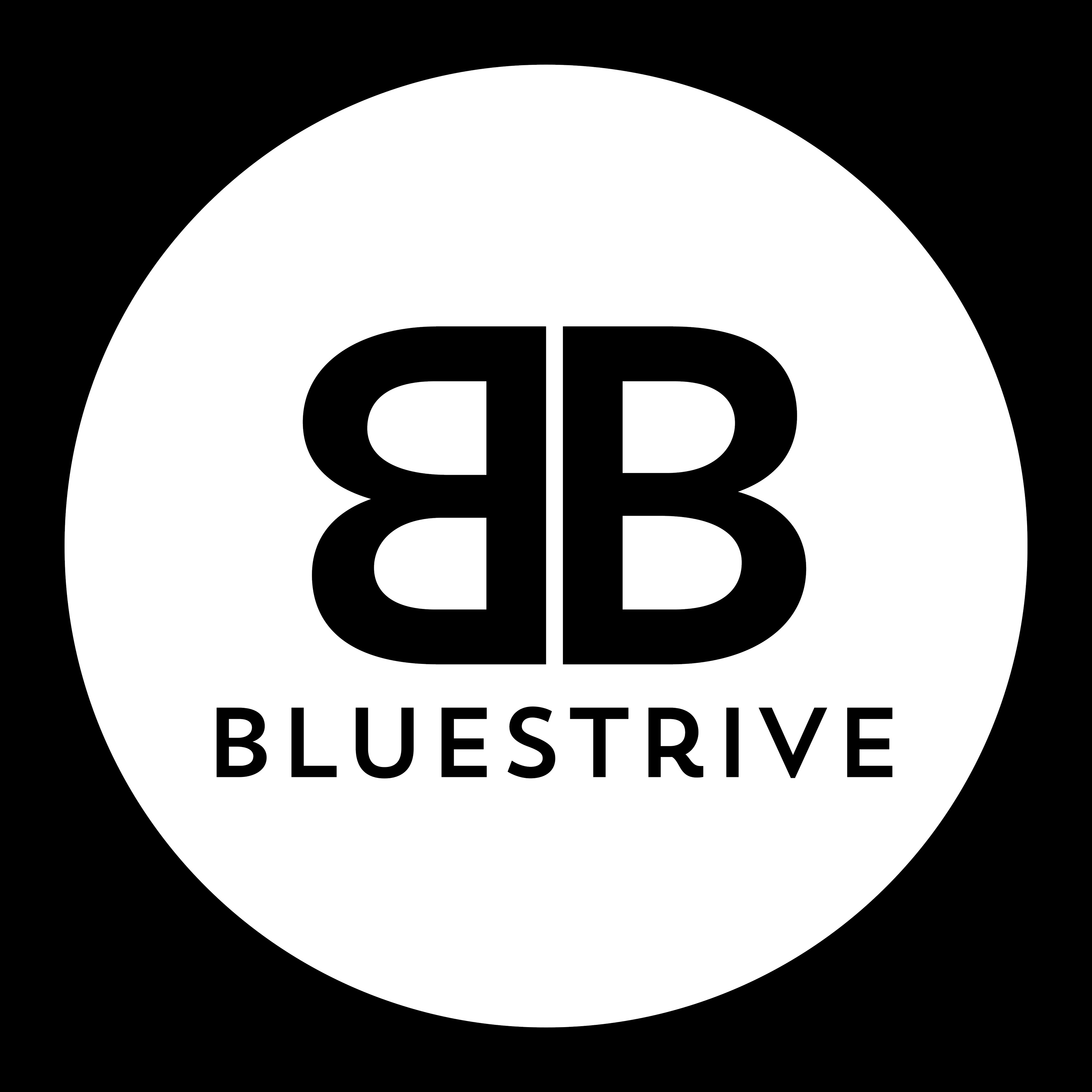 Bluestrive LLC